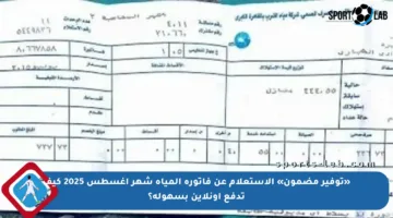 «توفير مضمون» الاستعلام عن فاتورة المياه شهر أغسطس 2025 كيف تدفع أونلاين بسهولة؟